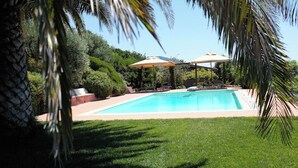 A swimming pool with a clear blue water, surrounded by well-maintained grass and palm trees.