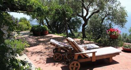 1 villa and 2 annexes, garden pool, countryside and sea on the Maremma coast