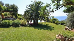 A well-maintained garden with a palm tree, a pergola, and a view of the sea.