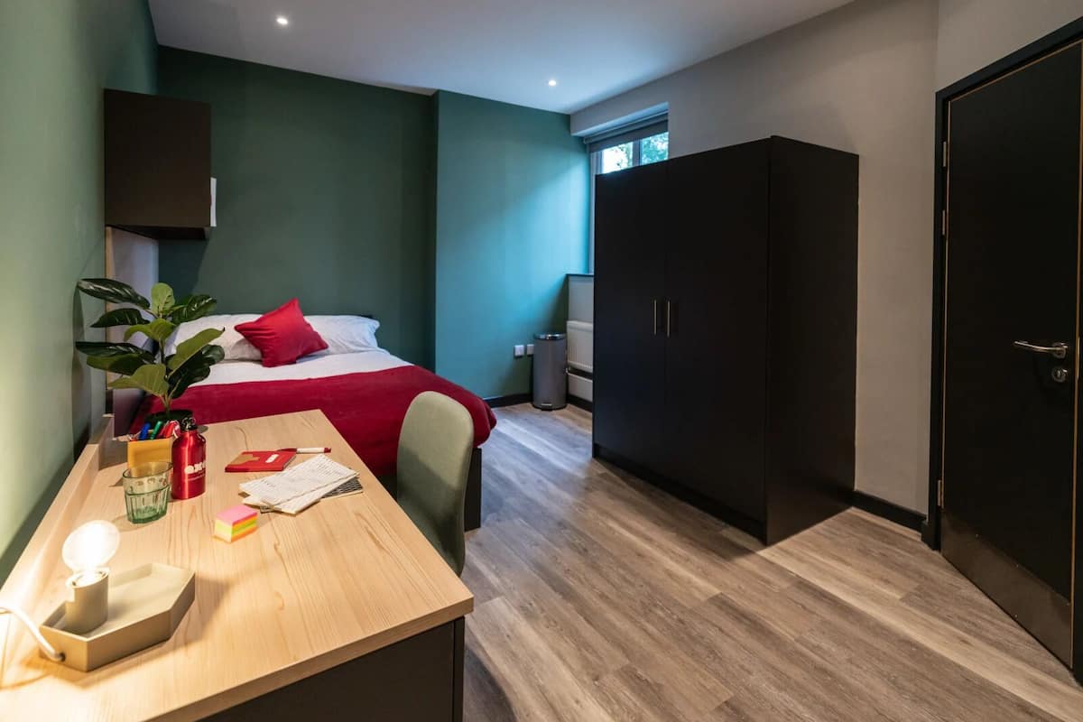 Cortinas blackout y wifi gratis