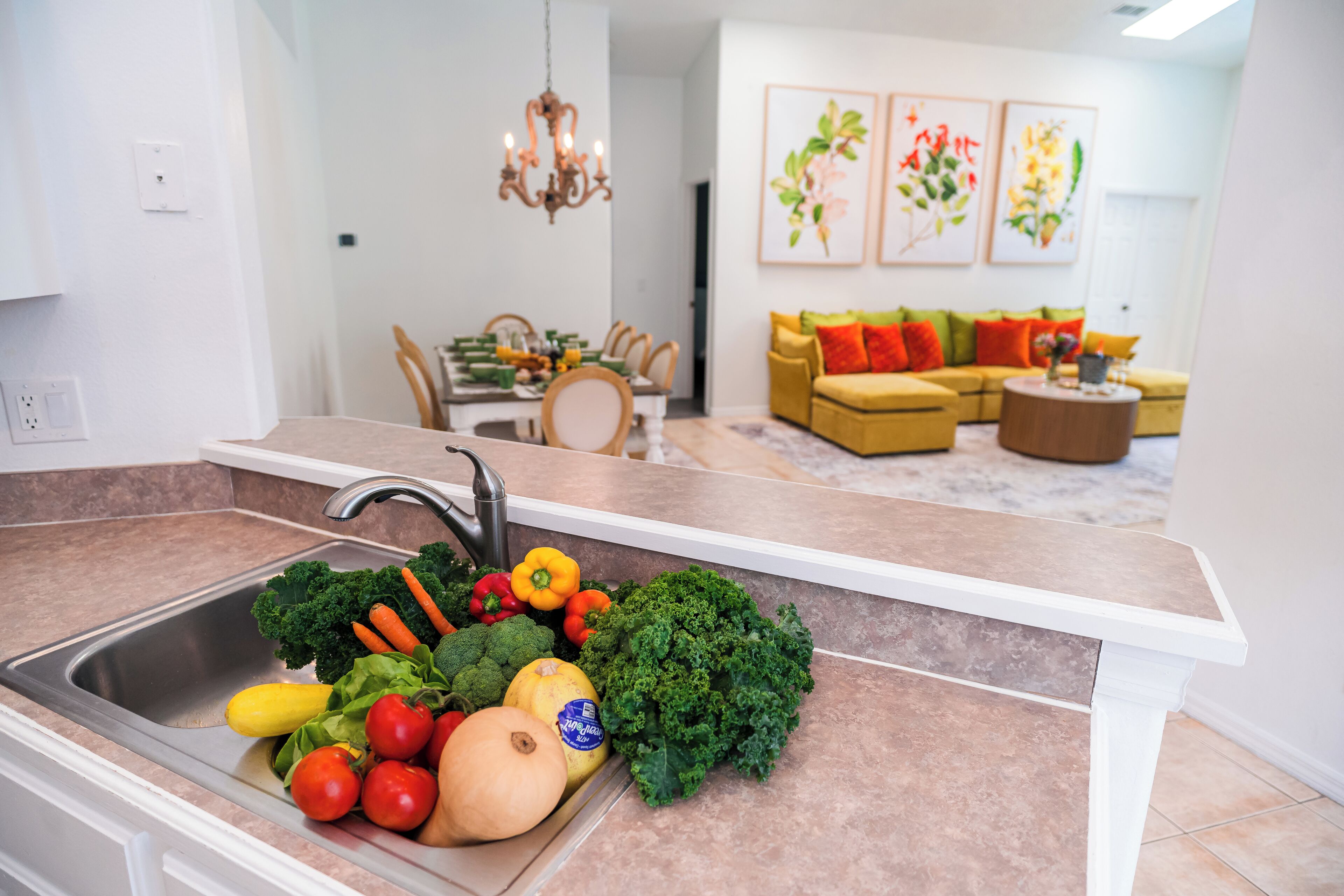 Toaster, blender, cleaning supplies, freezer