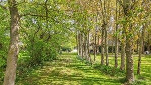 A pathway flanked by trees with a grassy area and a building in the background. - 7 bedroom accommodation in Ilketshall St Margaret near Bungay (Ilketshall St Margaret near Bungay)