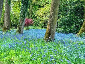 Unclassified image, 3 of 22, button