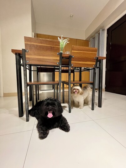 Pet Friendly 2BR Condo with PS4 near Abreeza Mall