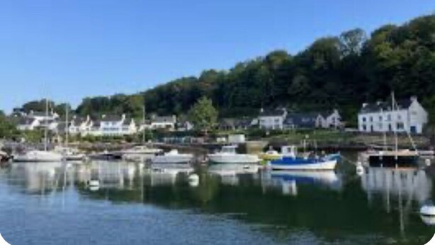 A harbor with boats, a calm water body, and a hillside with buildings.
