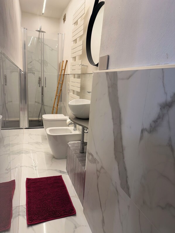 Shower, hair dryer, bidet, towels