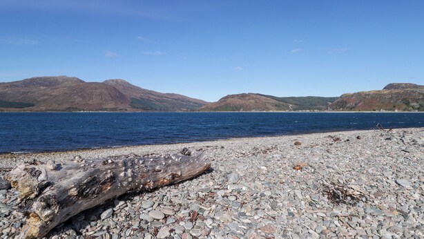 Ein kiesiger Strand mit einem großen Baumstamm im Vordergrund und Bergen im Hintergrund.