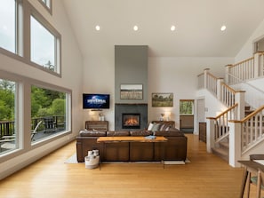 Smart TV, fireplace, books