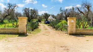 A dirt path leading to a building with a white roof, surrounded by cacti and trees.