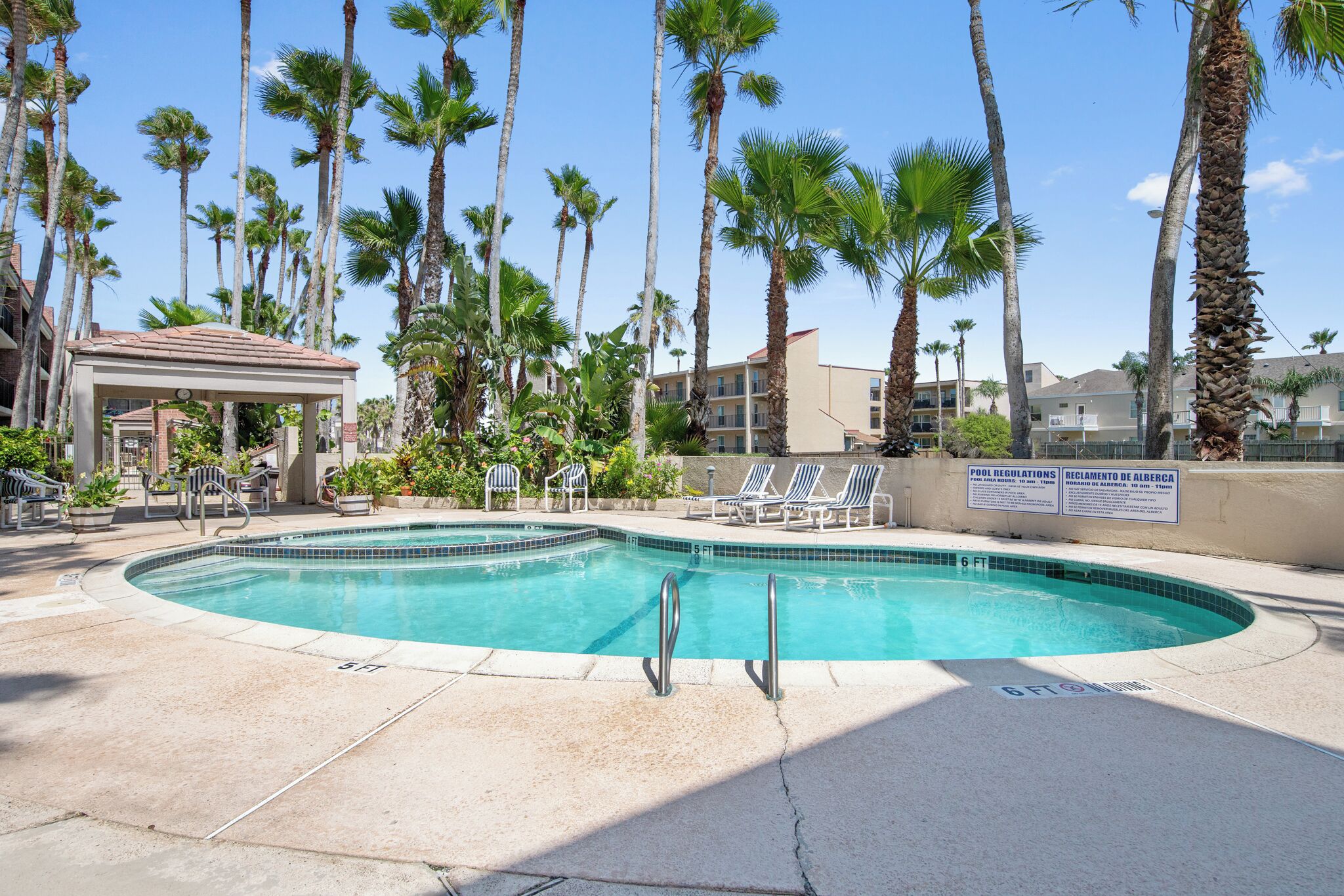 Ein Pool mit Liegestühlen und Palmen.