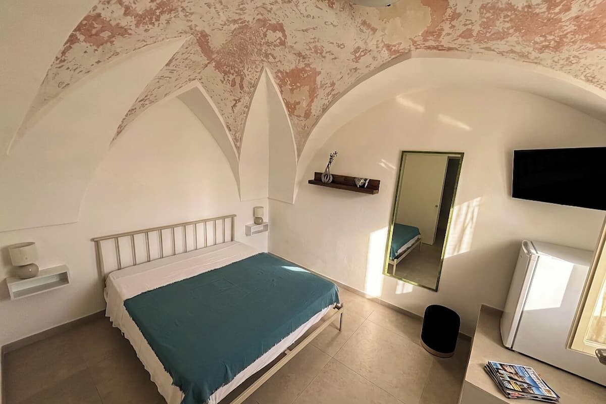 A bedroom with a bed, a mirror, a television, and a refrigerator.