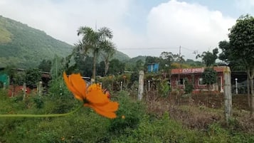 Land view from property