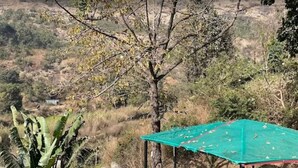 Un refugio exterior verde con suelo de hormigón, rodeado de vegetación y una ladera.