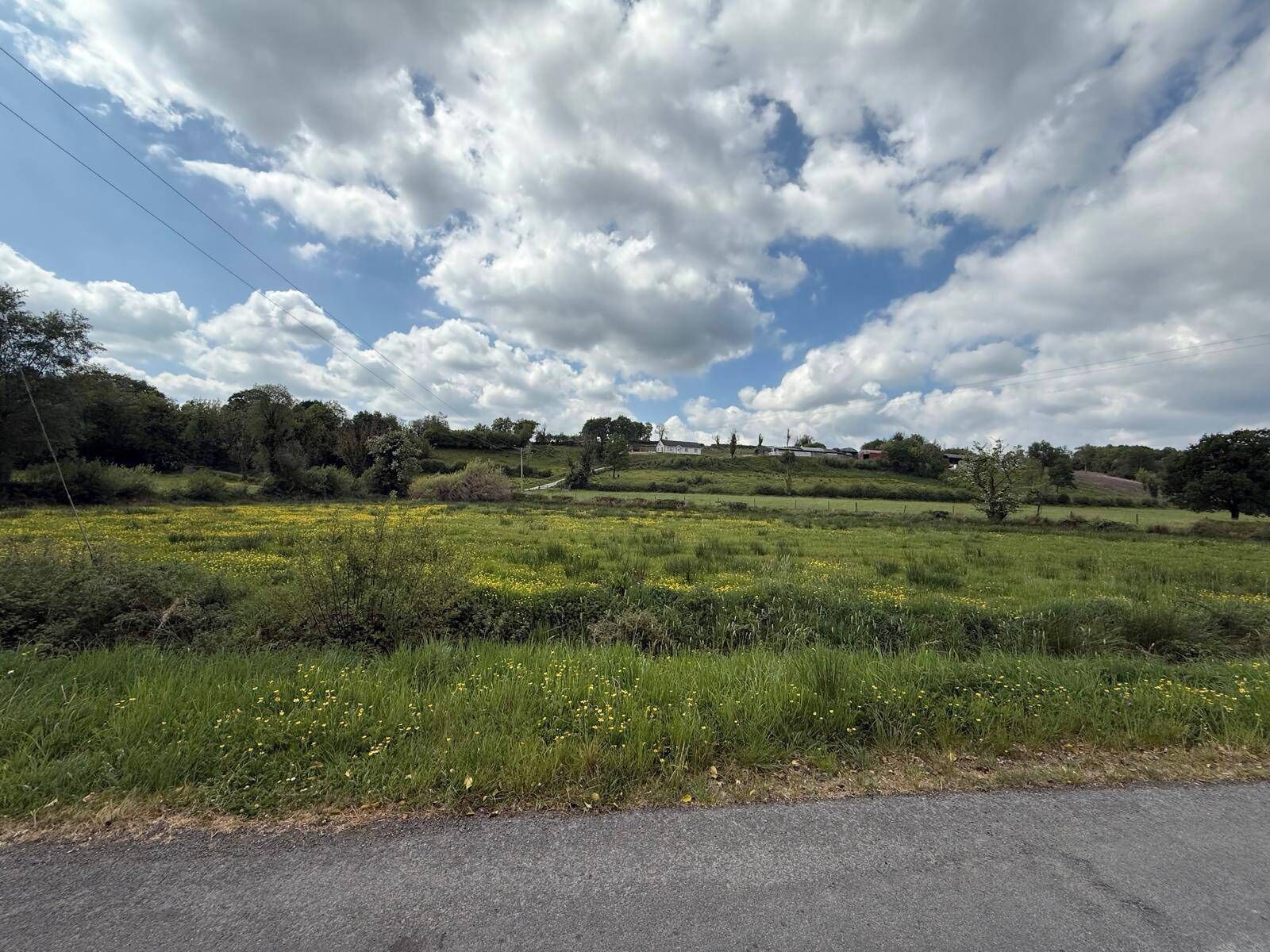 A rural landscape with a road, fields, and scattered trees.