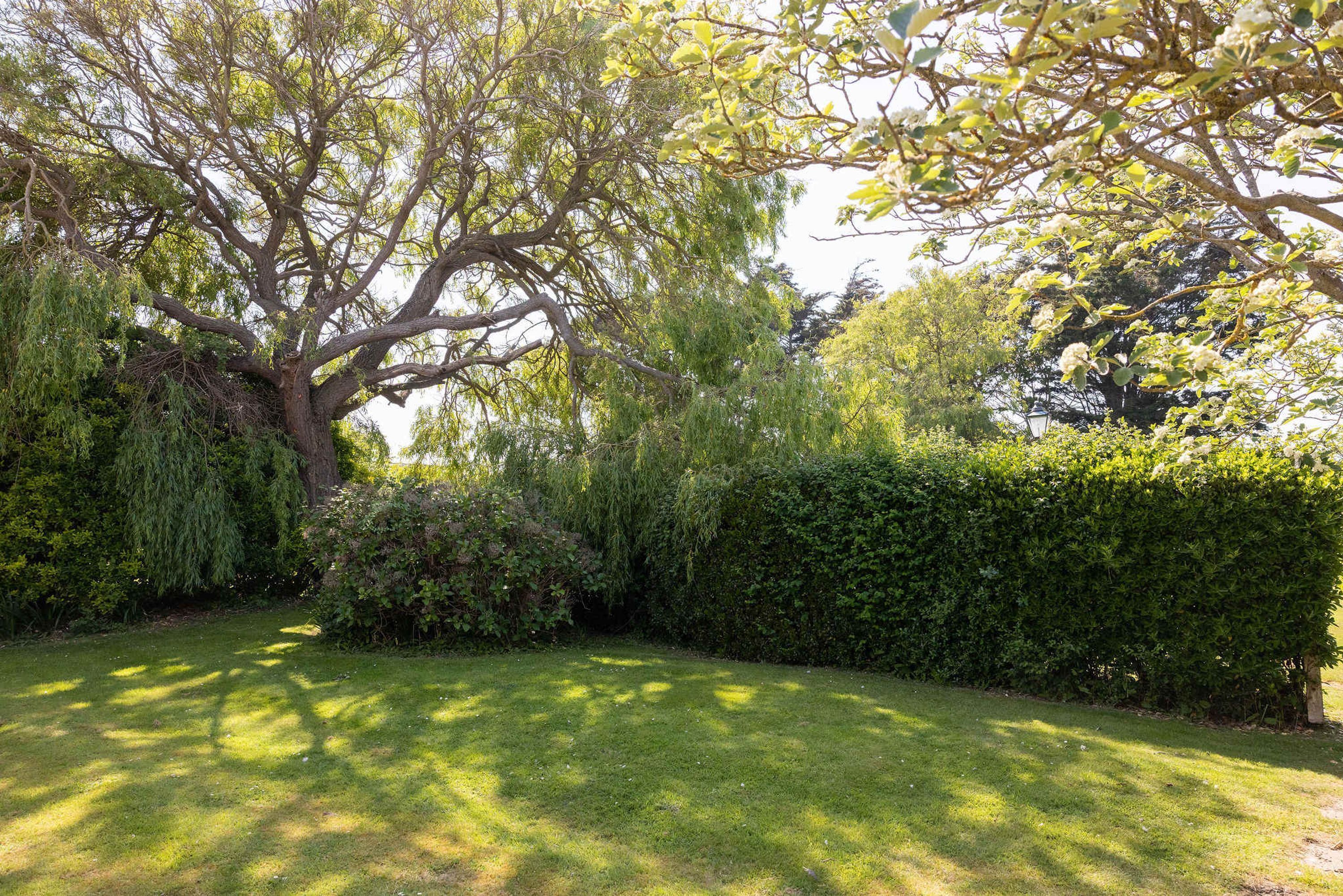 Un jardín bien cuidado con un gran árbol, setos podados y un césped verde.