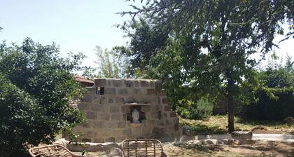 A moins de 1h de Paris à la campagne. Animaux de compagnie acceptés !