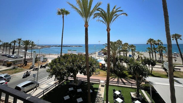 A coastal view with palm trees, a road, and a beach in the background.