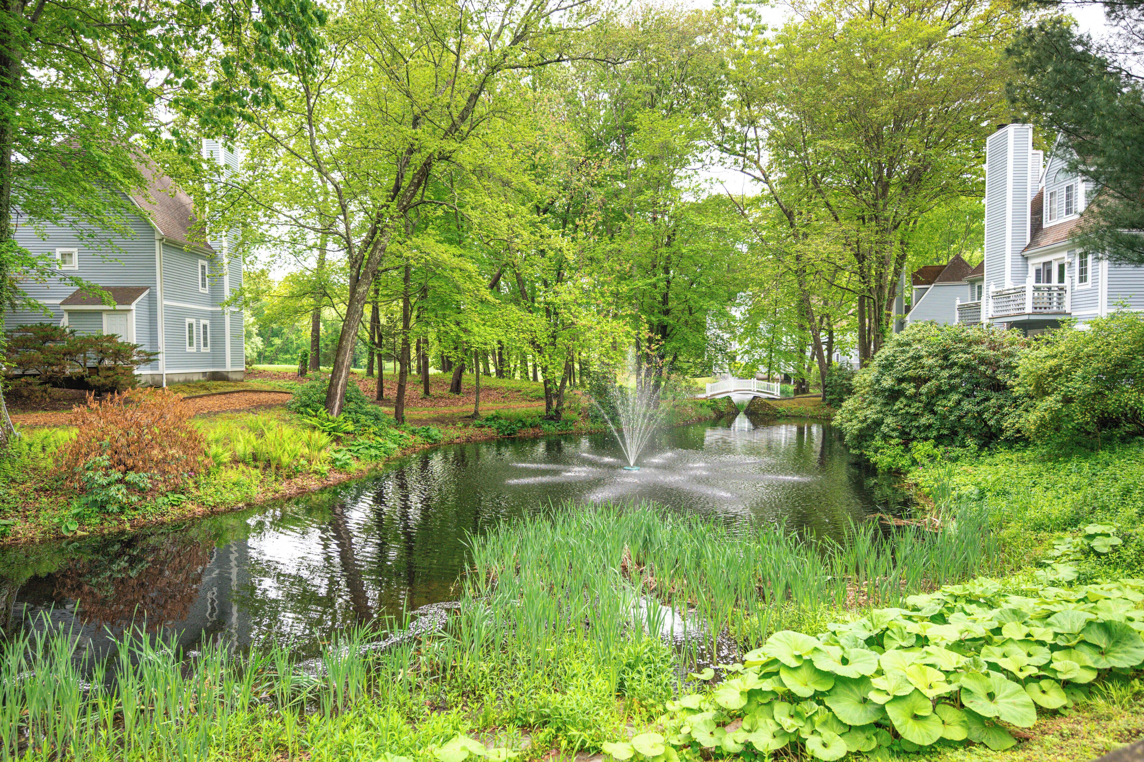 Apartment (0 Bedroom) | Interior