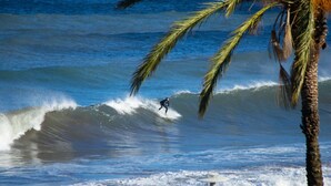 Un surfista cabalgando una ola en el océano, con una palmera al frente.
