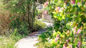 A narrow, paved path surrounded by dense greenery and flowering plants. - Beach House Steps Away From the sea (Pylos-Nestoras)