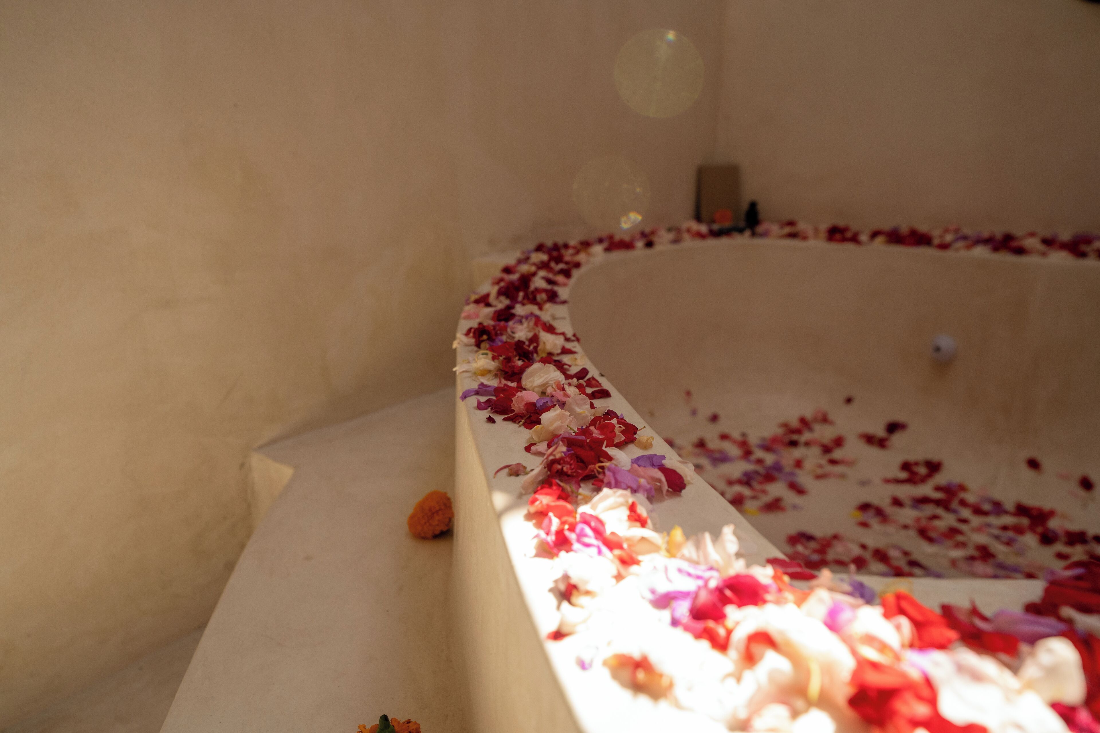 Foto - Divino Gili Air