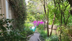 A narrow stone pathway flanked by dense greenery and a wooden fence. - The Jasmine Loft (Tybee Island)