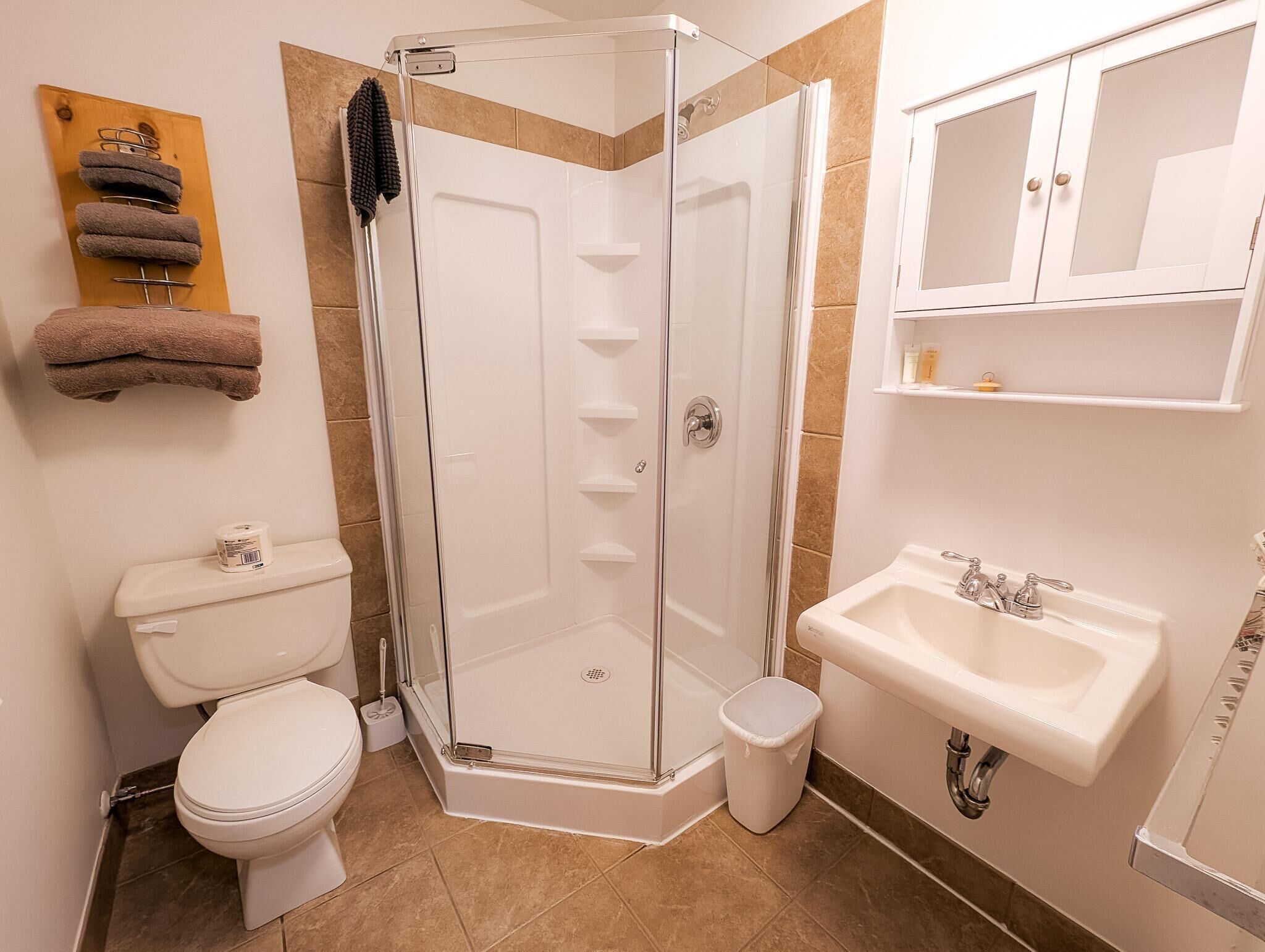 A modern bathroom with a glass-enclosed shower, a toilet, a sink, and a towel rack.