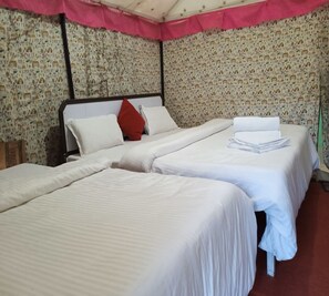 Tienda familiar | 1 dormitorio y wifi gratis