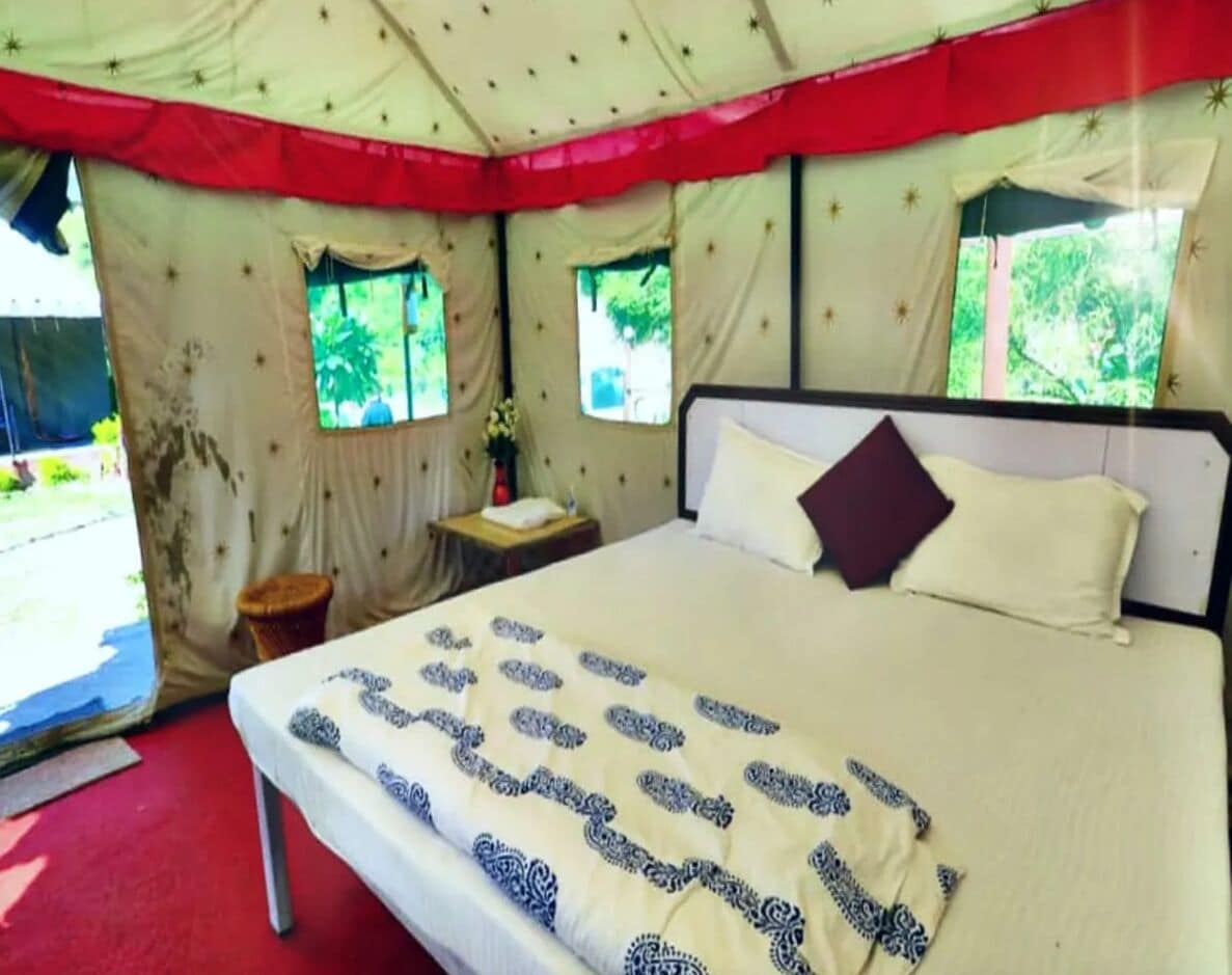 特級帳篷 | 1 間睡房、免費 Wi-Fi