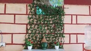 A small shrine with a Buddha statue, two potted plants, and a shelf with snack packets. - Eden RiverSide Camp (Lansdowne)