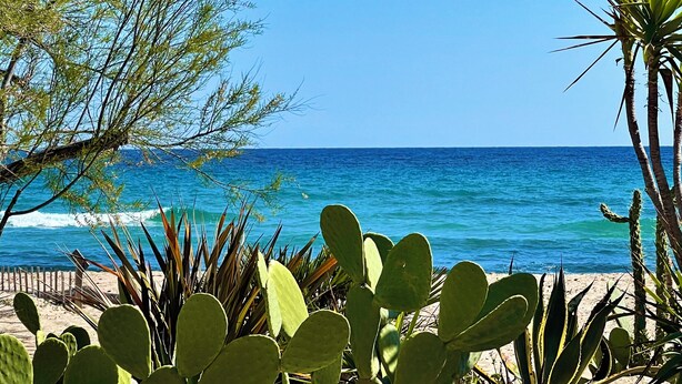 Strand