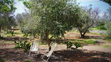 Parco della struttura