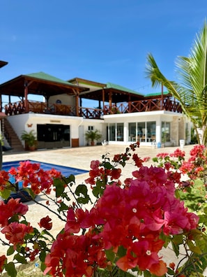 Comfort Double Room, Patio | Terrace/patio