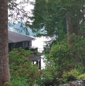 Unclassified image, 4 of 20, button