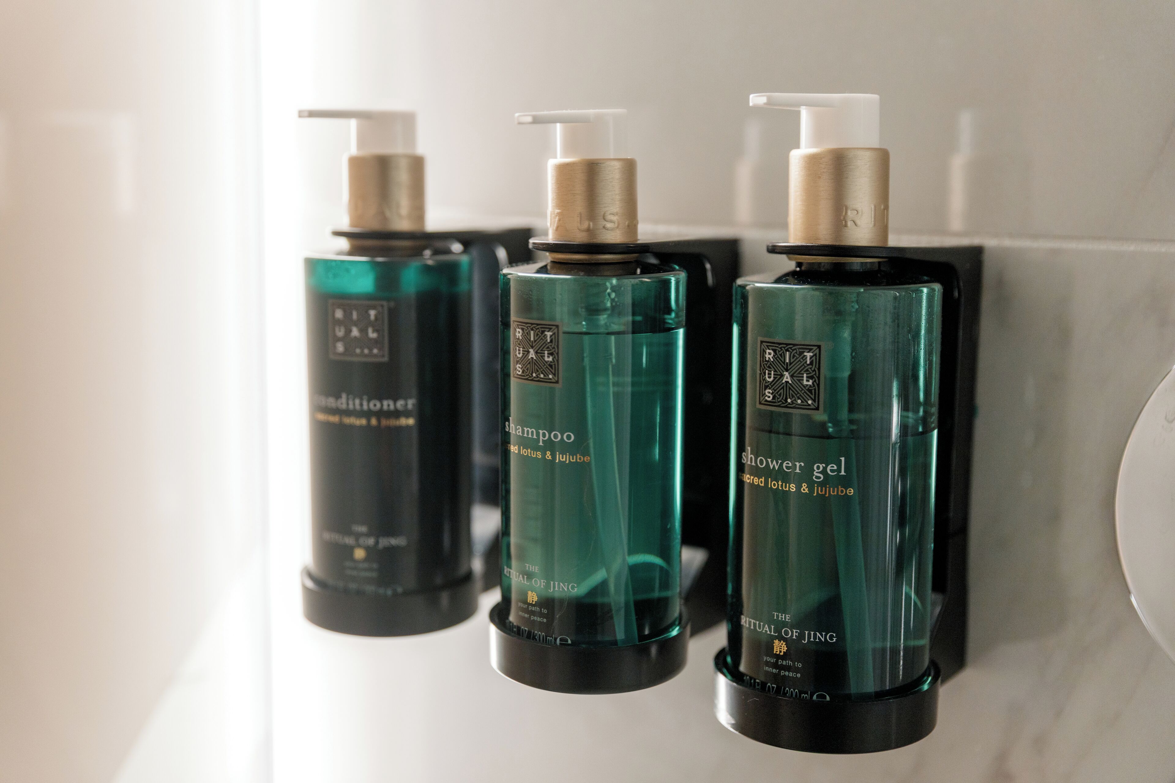 Foto - Meliá São João da Madeira