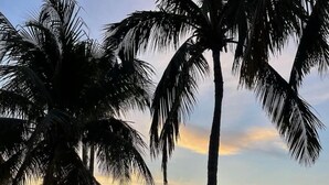 A beach with palm trees, a tent, and lounge chairs. - Luxury Waterfront Rental with wraparound water views at Miromar Lakes, (Miromar Lakes)