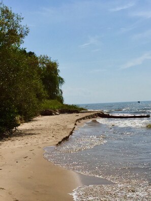 Sun-loungers - A Step Away: The Haven – Walk to Town Getaway~Dog Friendly~Fenced Yard~Fire Pit (Saugatuck)