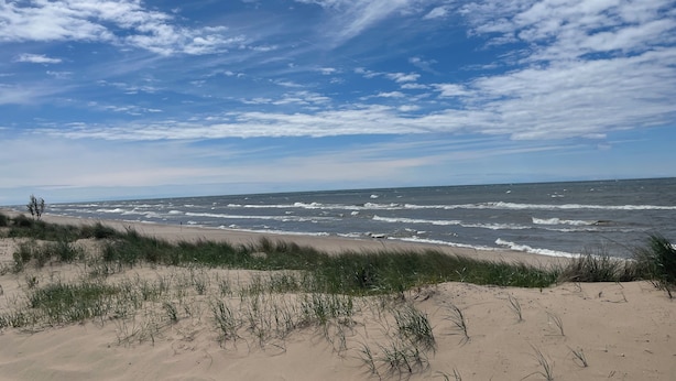 A beach with sand dunes and grassy vegetation.