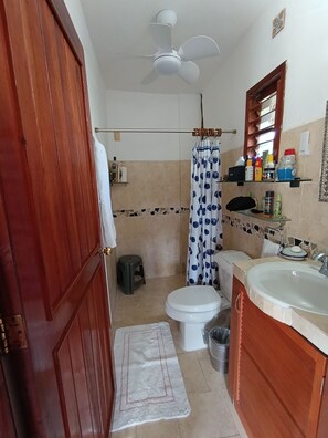 Dusche, Haartrockner, Handtücher, Seife