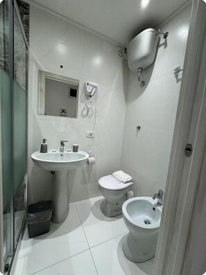 Shower, hair dryer, bidet, towels