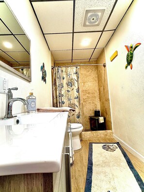 A bathroom with a sink, toilet, shower, and a mirror. - The Lost Crab at Sapphire - End Unit. Newly  Renovated. 1 BR. 781 SQFT! Balcony! (St. Thomas)
