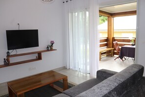 TV