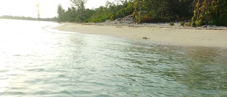 Klares, flaches Wasser, ein Sandstrand und üppige Bepflanzung.
