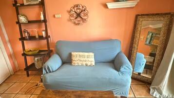 Télévision, cheminée, livres