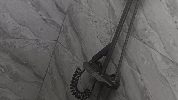 A shower with a handheld showerhead mounted on a wall, a flexible hose, and a control lever.