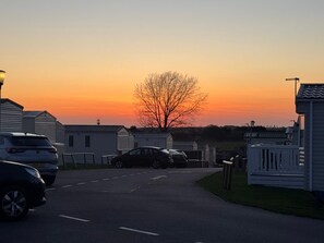 Vista callejera al atardecer con casas móviles, un árbol y automóviles estacionados.