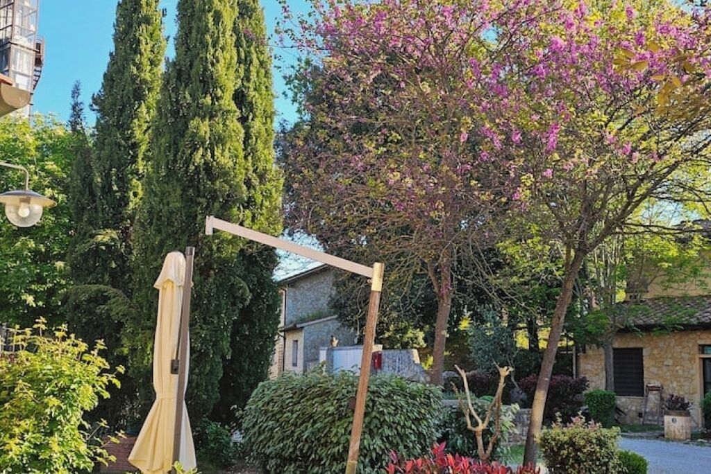 Un jardín con una estructura de madera, un árbol alto y un edificio al fondo.