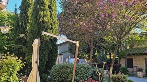 A garden with a wooden structure, a tall tree, and a building in the background.