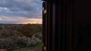 A view from inside a building looking out to a landscape with trees and a cloudy sky. - Villa Maria Pia - Roman Elegance Immersed in the Green (Aranova)