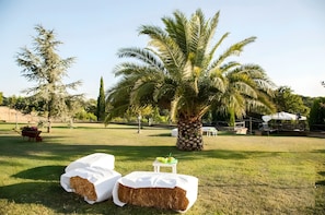Property grounds - Villa Maria Pia - Roman Elegance Immersed in the Green (Aranova)